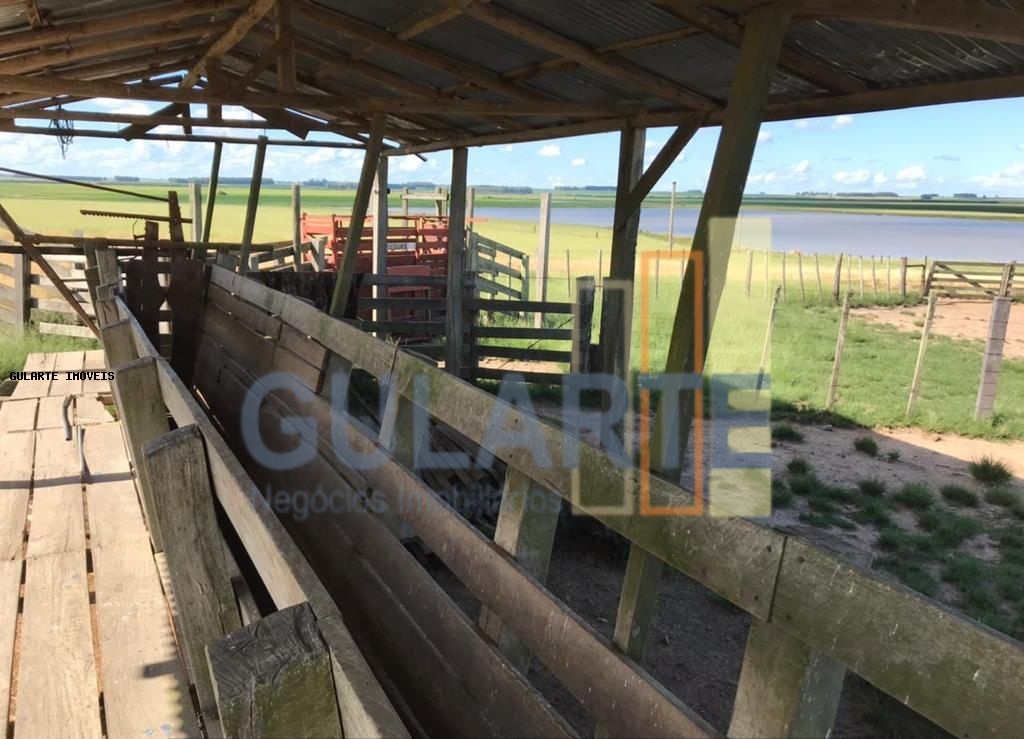 Fazenda à venda, 8600000m² - Foto 7