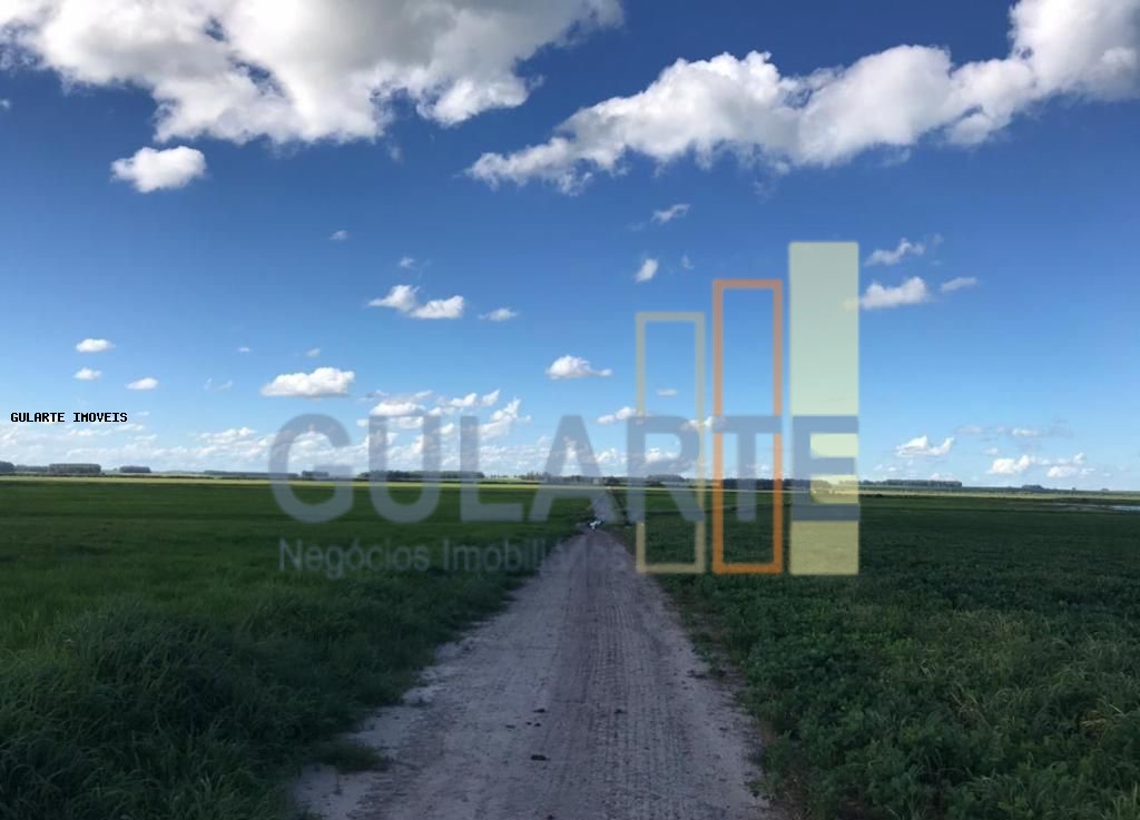 Fazenda à venda, 8600000m² - Foto 4