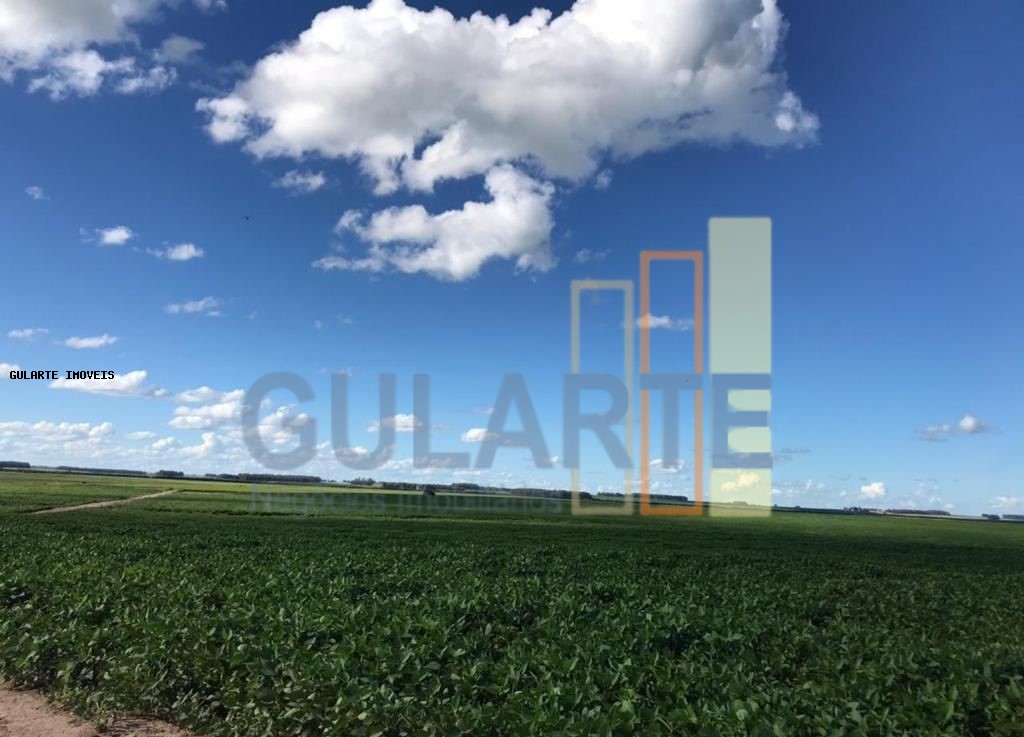 Fazenda à venda, 8600000m² - Foto 3