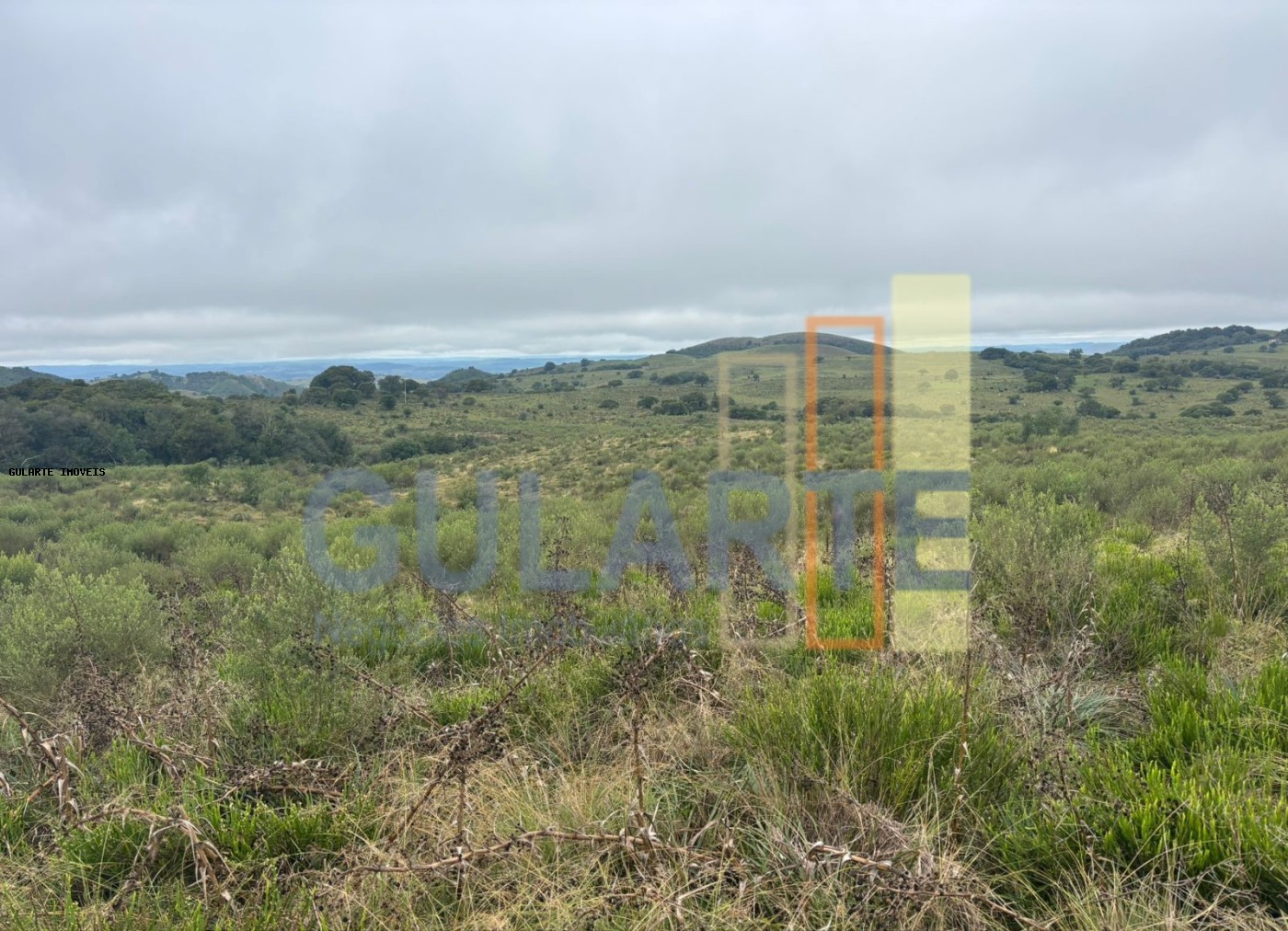Fazenda à venda, 9120000m² - Foto 1