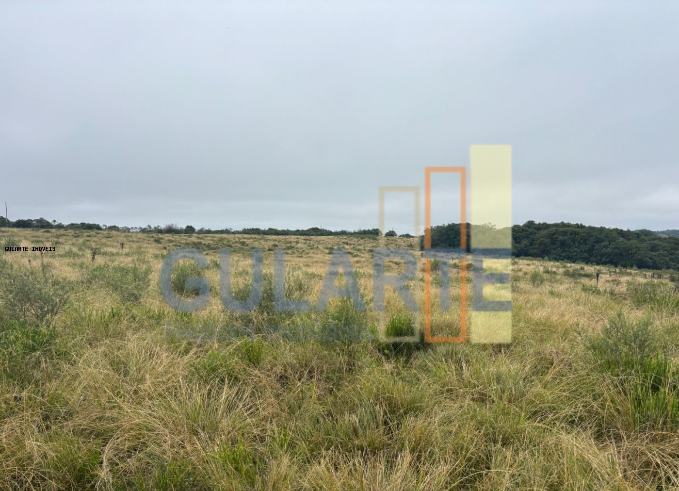 Fazenda à venda, 9120000m² - Foto 4