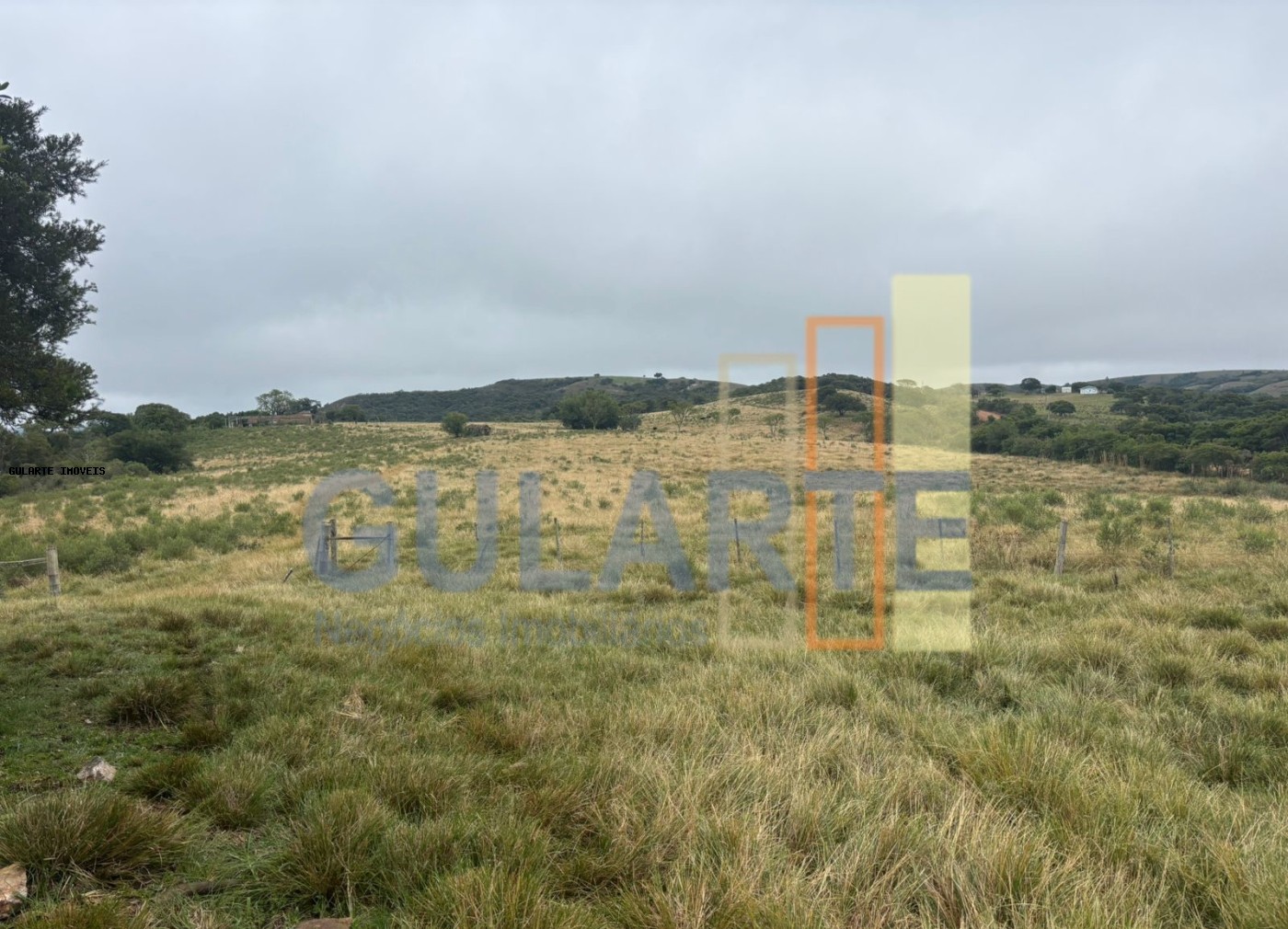 Fazenda à venda, 9120000m² - Foto 3