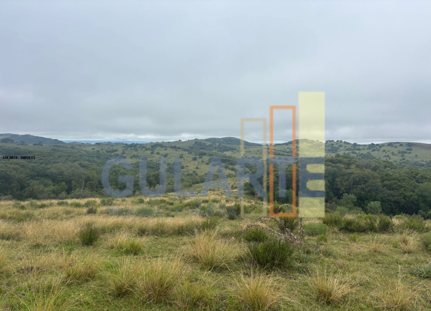 Fazenda à venda, 9120000m² - Foto 5