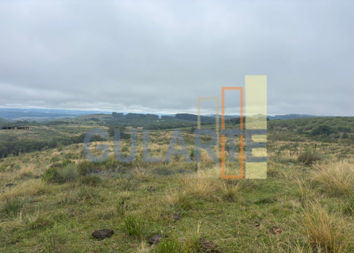 Fazenda à venda, 9120000m² - Foto 6