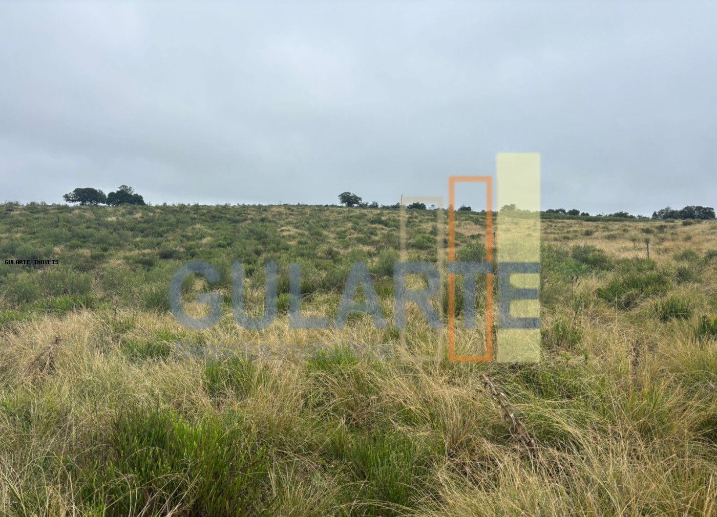Fazenda à venda, 9120000m² - Foto 9