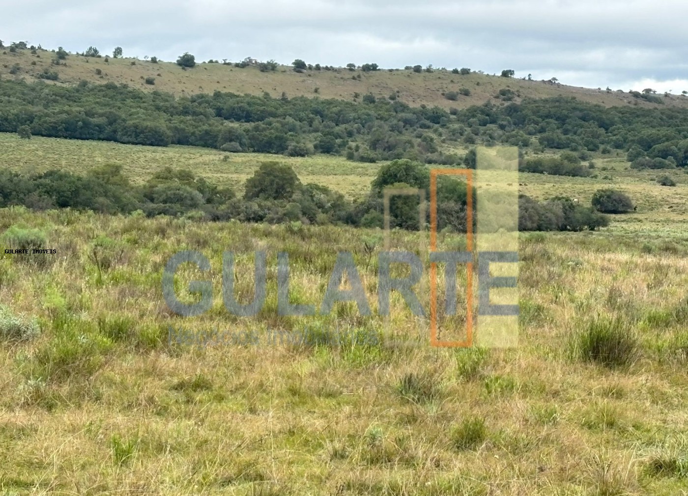 Fazenda à venda, 9120000m² - Foto 10