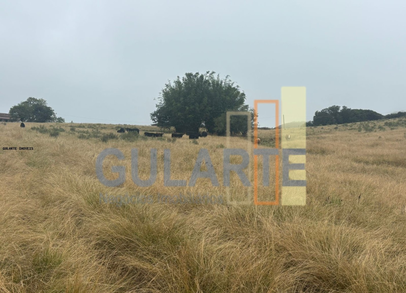 Fazenda à venda, 9120000m² - Foto 12
