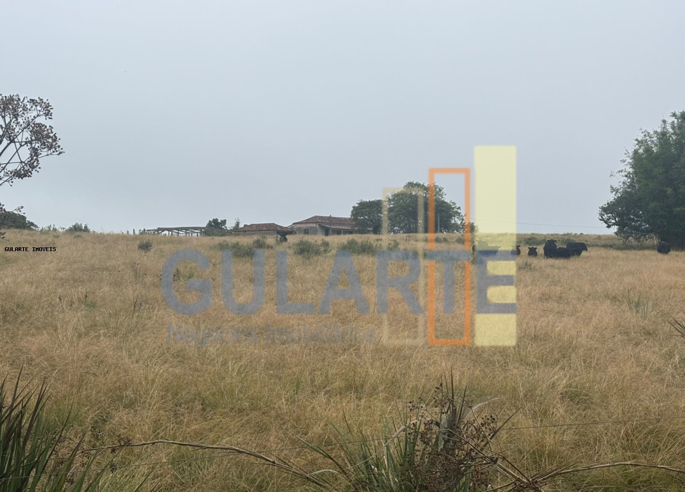 Fazenda à venda, 9120000m² - Foto 14