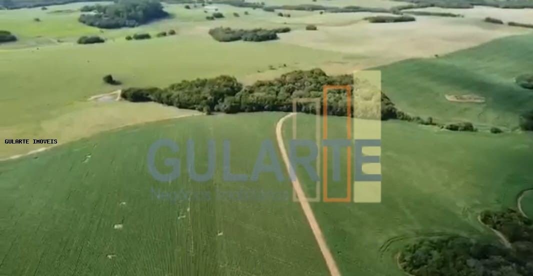 Fazenda à venda, 1900000m² - Foto 6