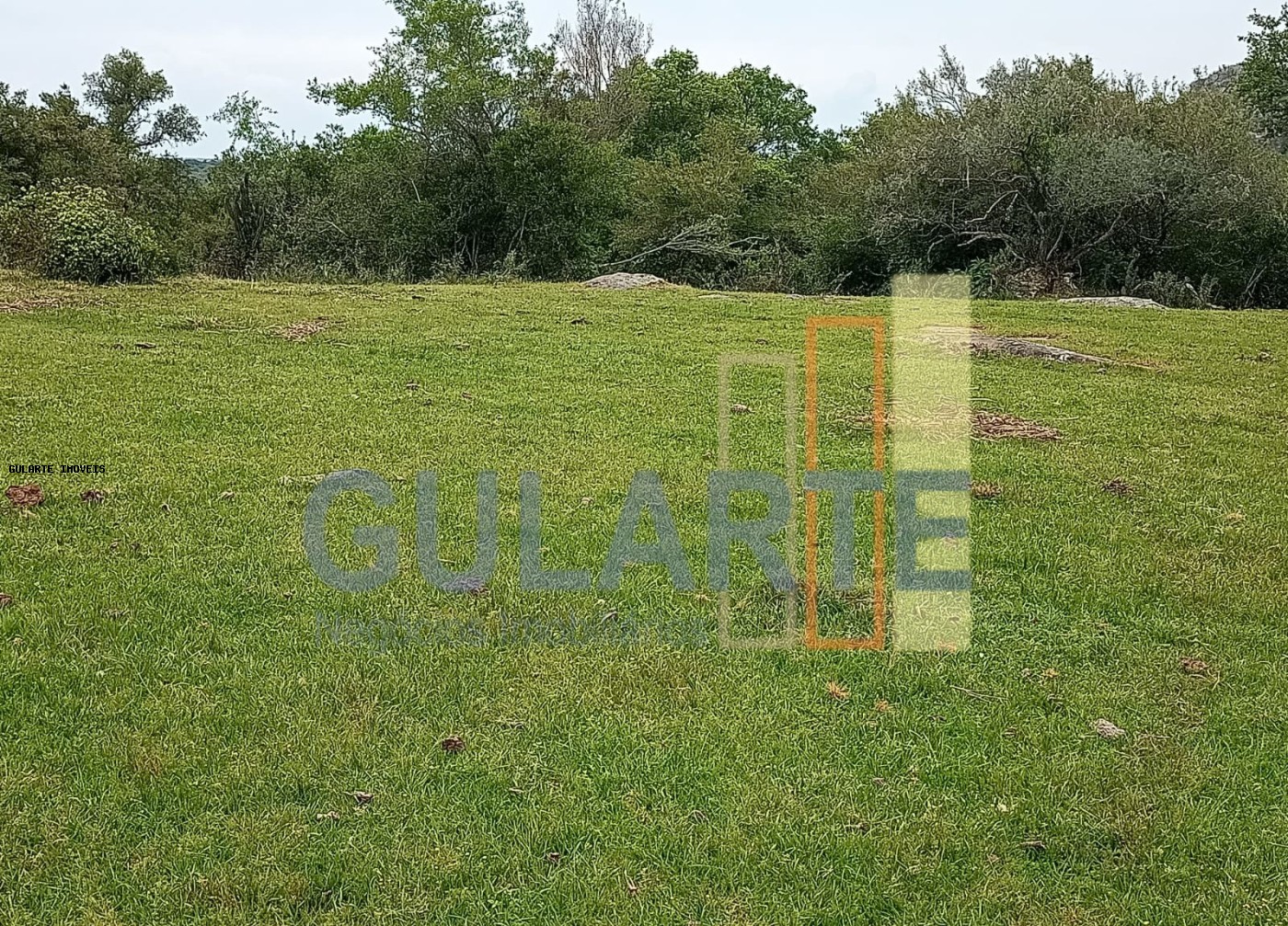 Fazenda à venda, 2180000m² - Foto 3
