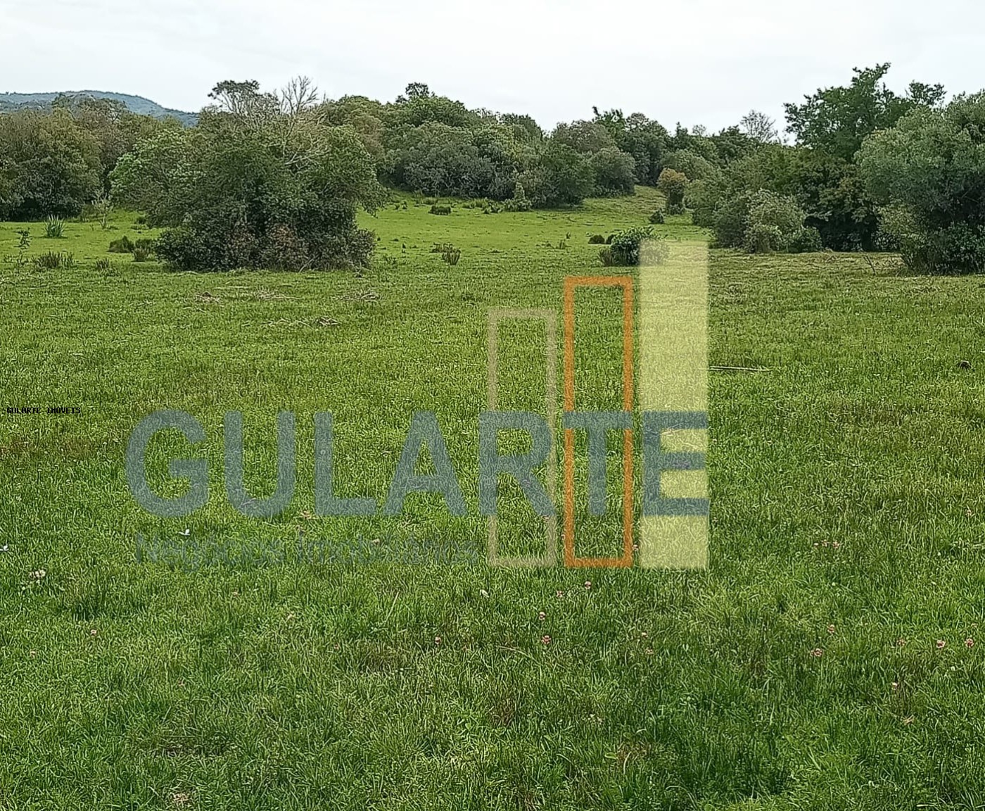 Fazenda à venda, 2180000m² - Foto 4