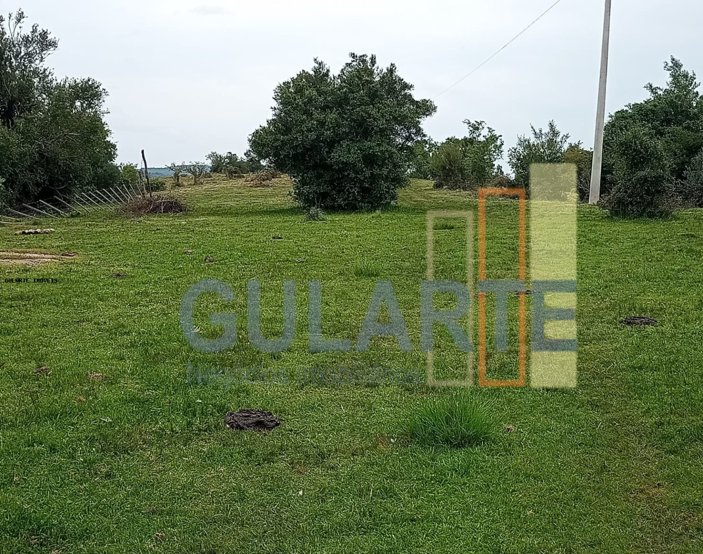 Fazenda à venda, 2180000m² - Foto 1