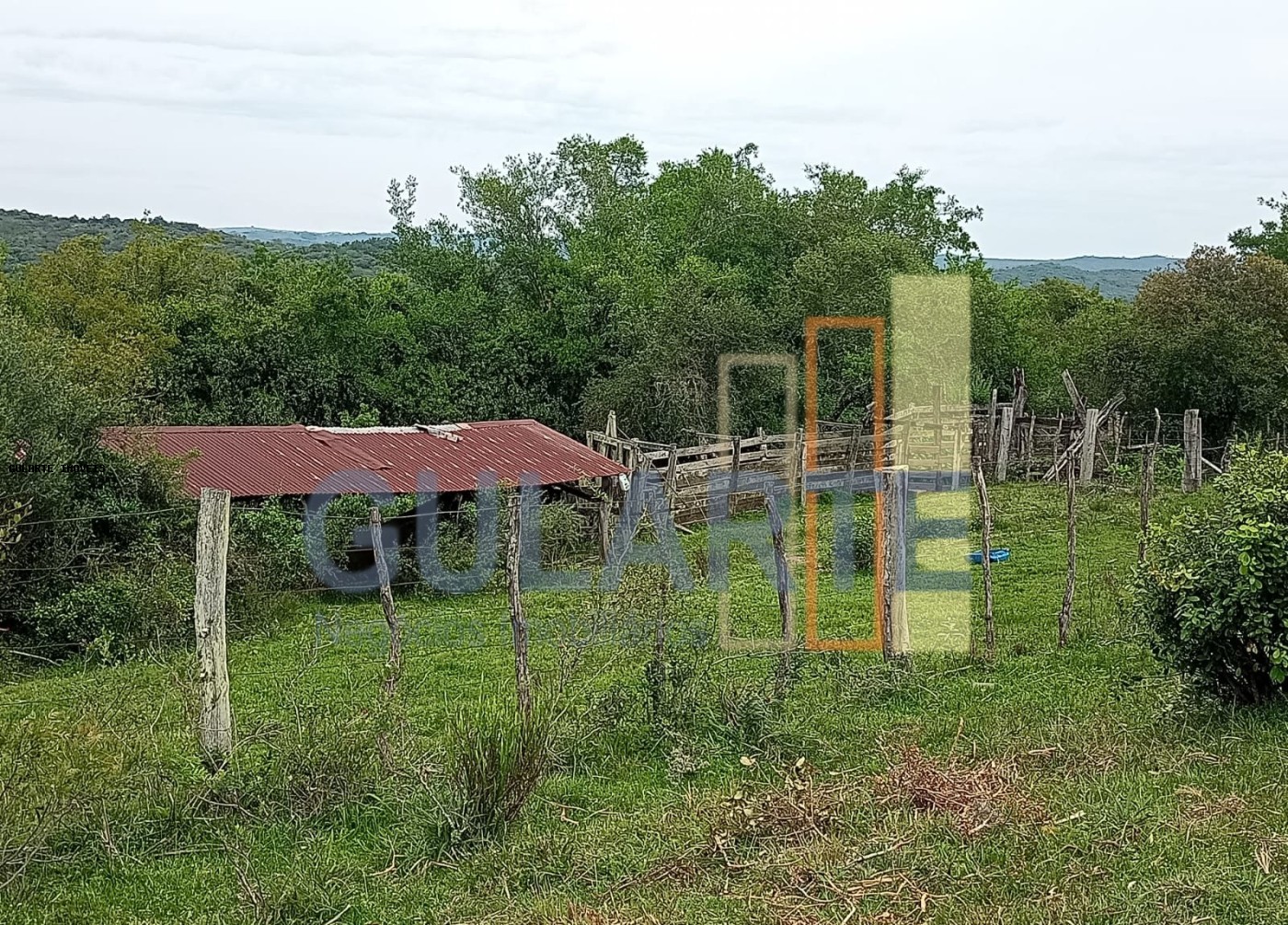 Fazenda à venda, 2180000m² - Foto 6