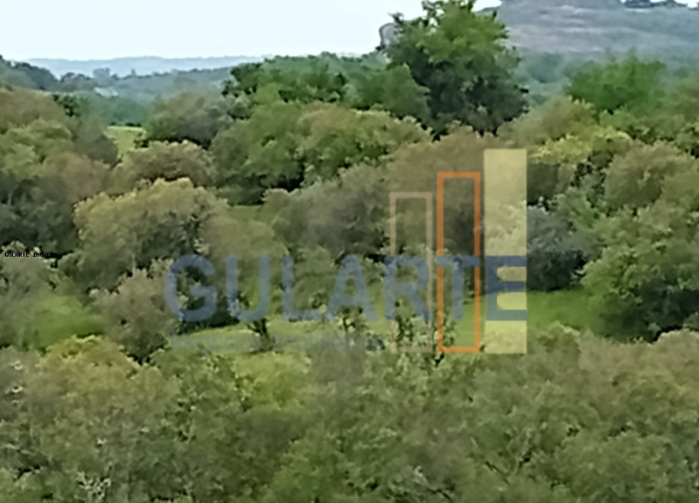 Fazenda à venda, 2180000m² - Foto 9