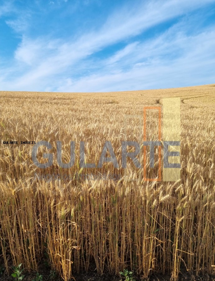 Fazenda à venda, 5170000m² - Foto 4