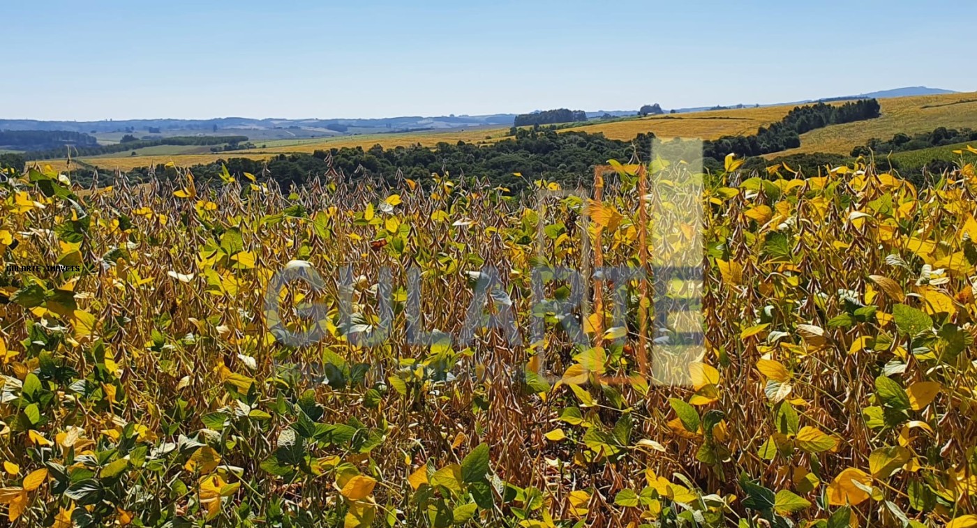 Fazenda à venda, 5170000m² - Foto 5