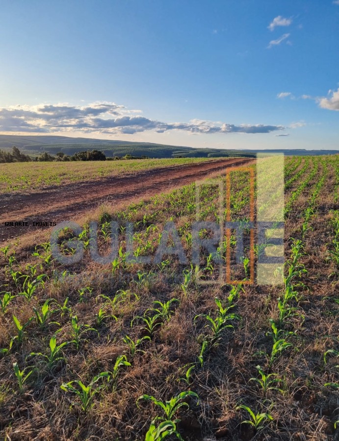 Fazenda à venda, 5170000m² - Foto 7