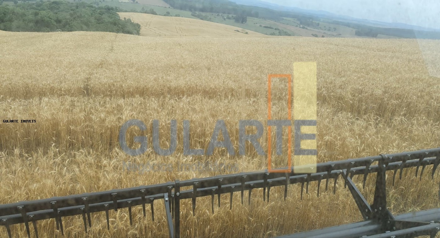 Fazenda à venda, 5170000m² - Foto 11
