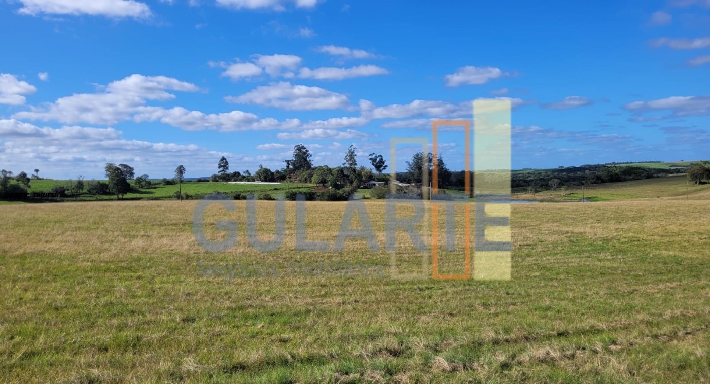 Fazenda à venda, 1330000m² - Foto 3