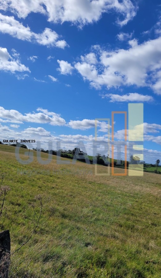 Fazenda à venda, 1330000m² - Foto 6