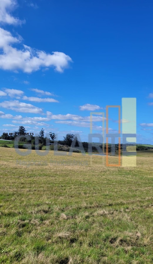 Fazenda à venda, 1330000m² - Foto 7