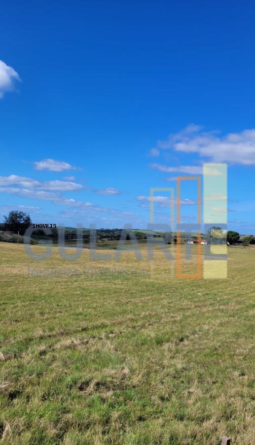 Fazenda à venda, 1330000m² - Foto 8