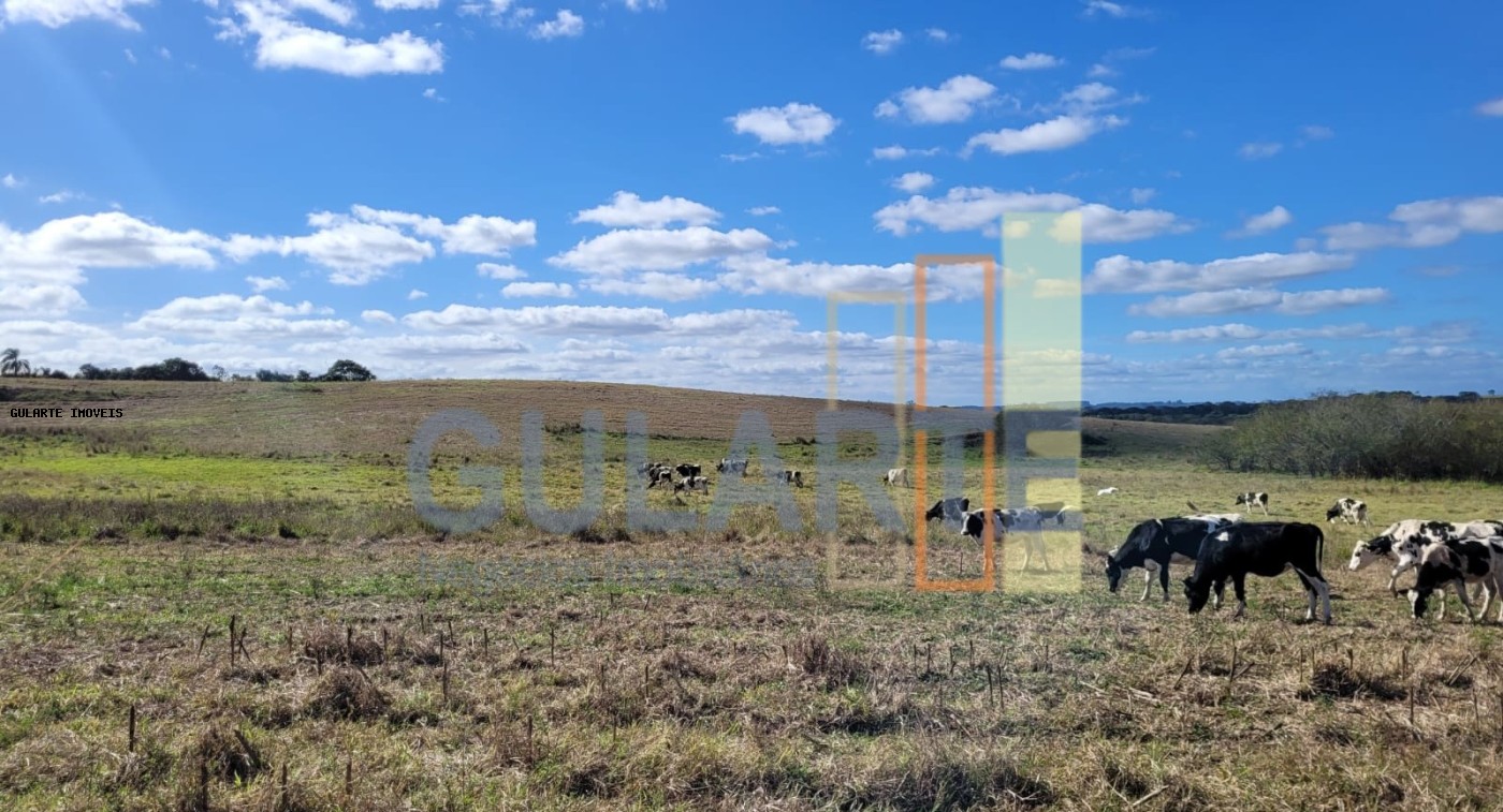 Fazenda à venda, 1330000m² - Foto 11