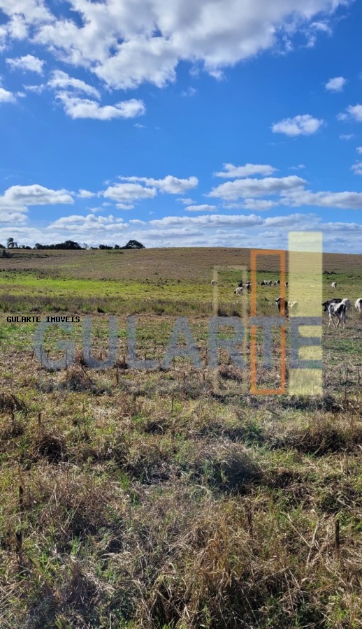 Fazenda à venda, 1330000m² - Foto 17