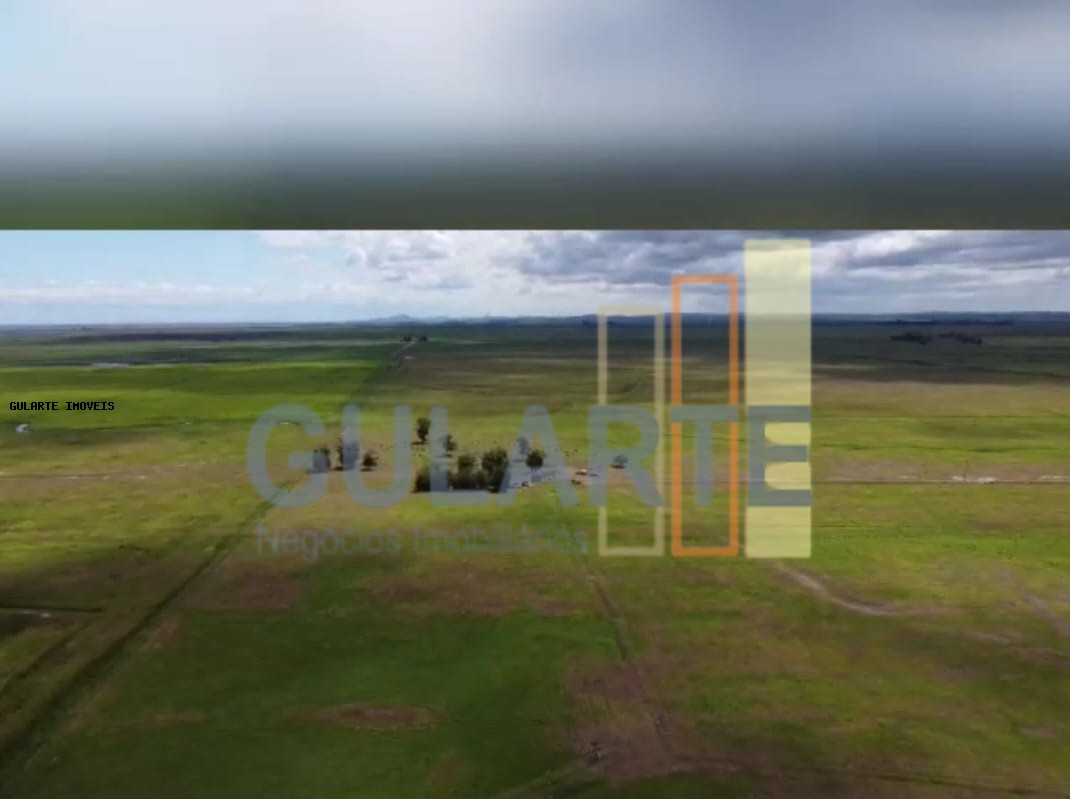 Fazenda à venda, 1300000m² - Foto 7