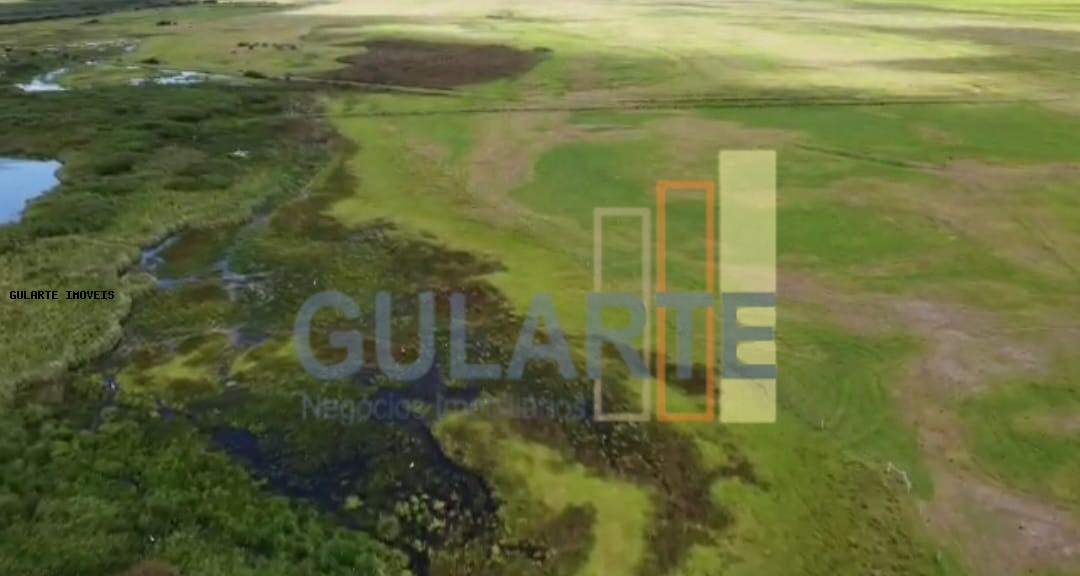 Fazenda à venda, 1300000m² - Foto 8