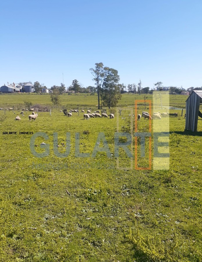 Fazenda, 24 hectares - Foto 2