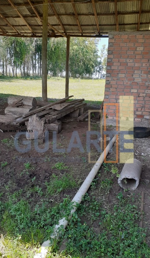 Fazenda, 24 hectares - Foto 3