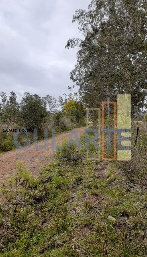 Fazenda, 24 hectares - Foto 5