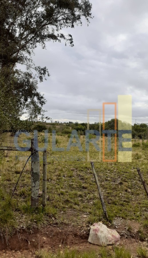 Fazenda, 24 hectares - Foto 6