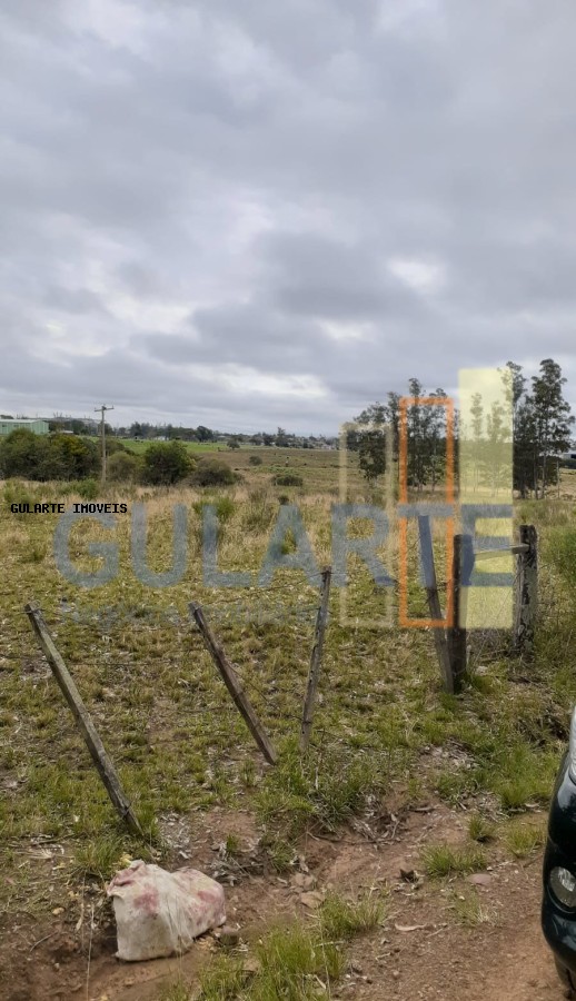 Fazenda, 24 hectares - Foto 10