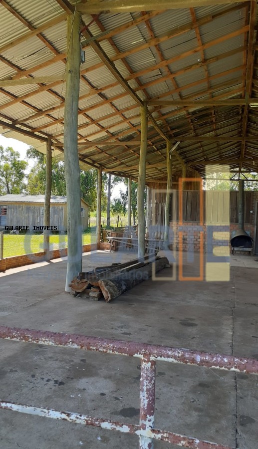 Fazenda, 24 hectares - Foto 14