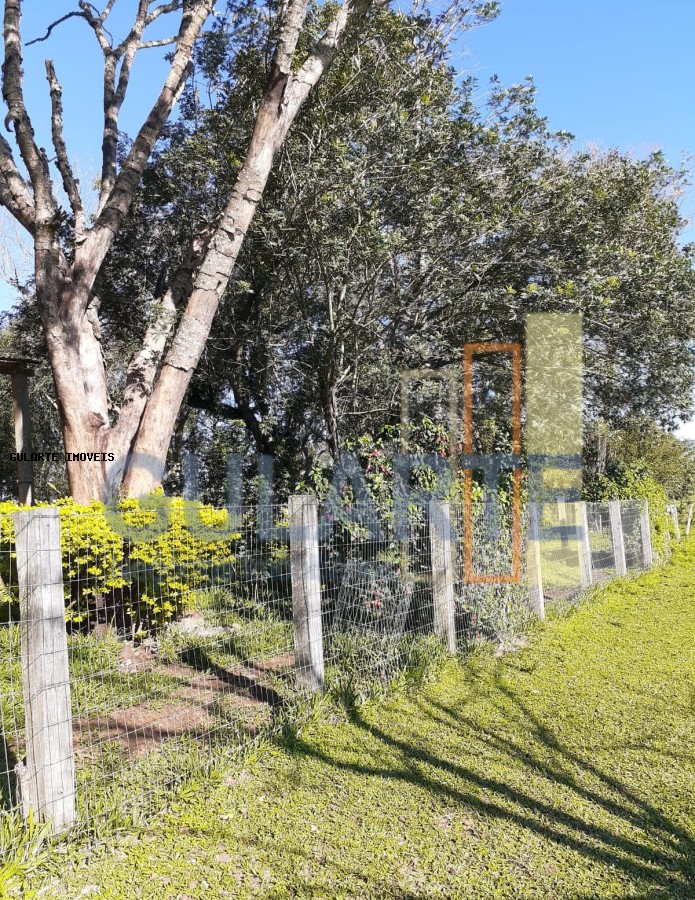 Fazenda, 24 hectares - Foto 15