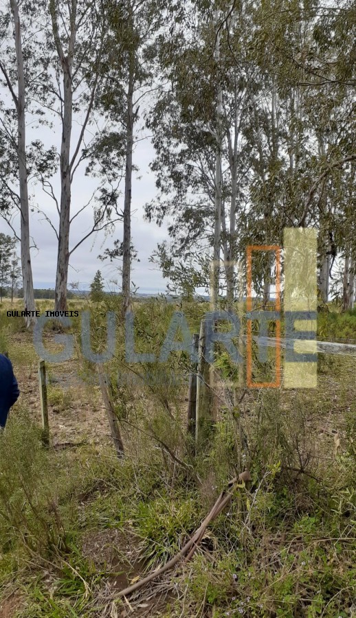 Fazenda, 24 hectares - Foto 16