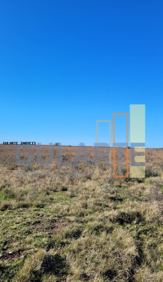 Fazenda, 24 hectares - Foto 18