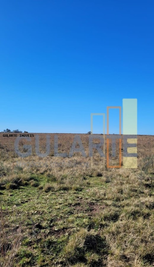 Fazenda, 24 hectares - Foto 19