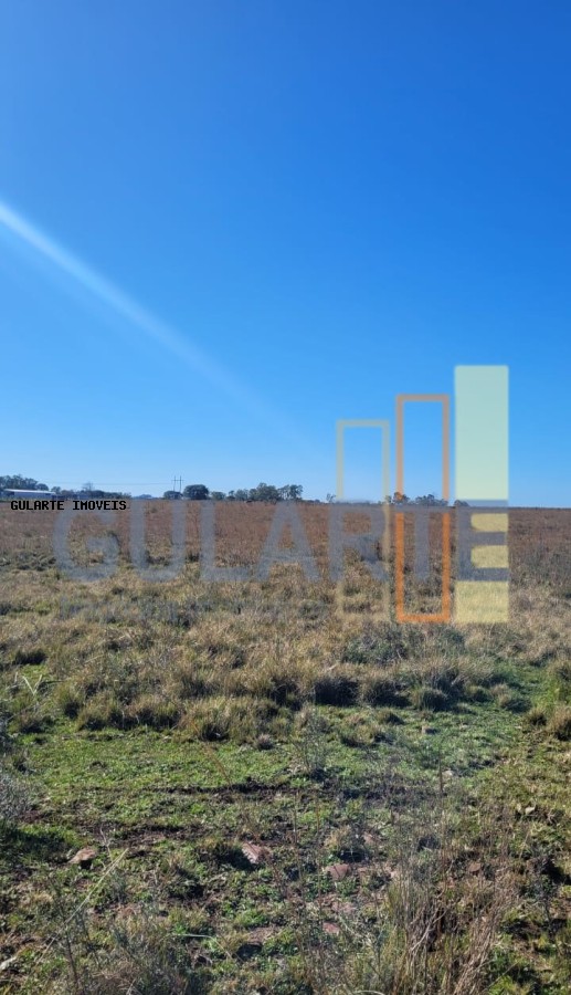 Fazenda, 24 hectares - Foto 20