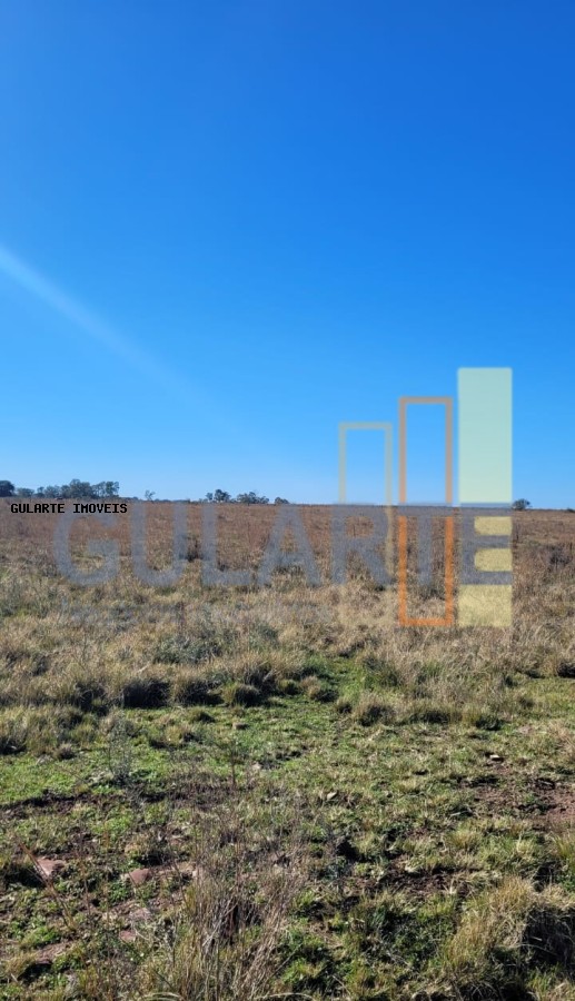 Fazenda, 24 hectares - Foto 23