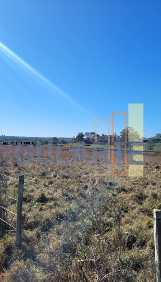 Fazenda, 24 hectares - Foto 22