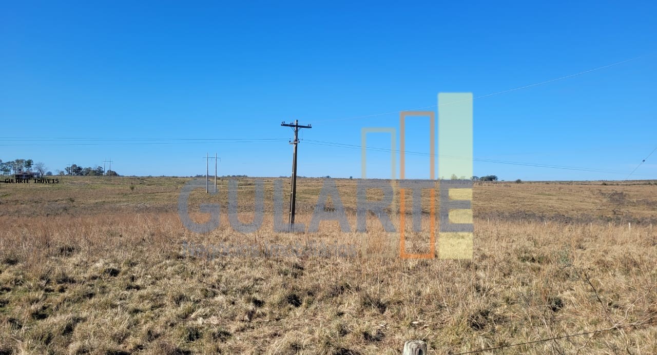 Fazenda, 24 hectares - Foto 25