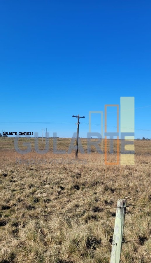 Fazenda, 24 hectares - Foto 24