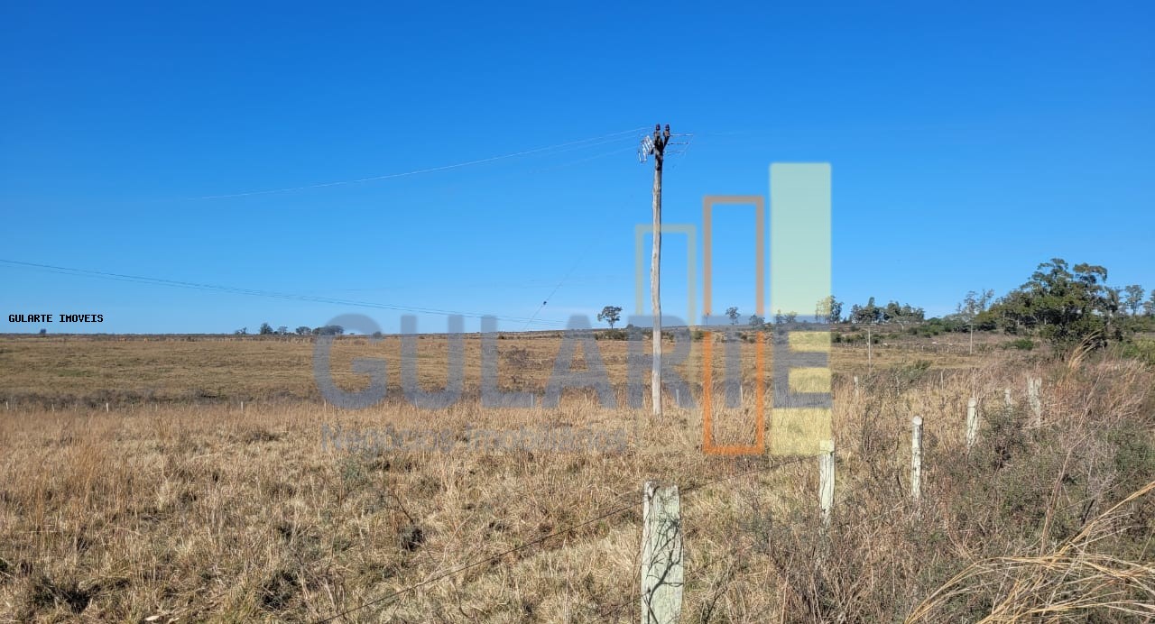 Fazenda, 24 hectares - Foto 27
