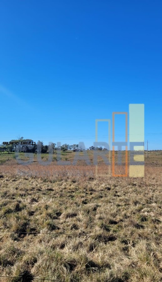 Fazenda, 24 hectares - Foto 28