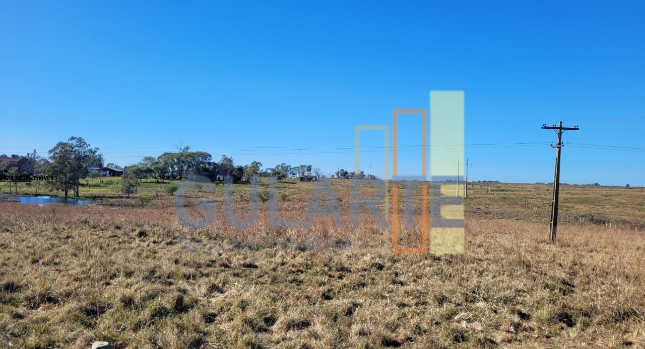 Fazenda, 24 hectares - Foto 29