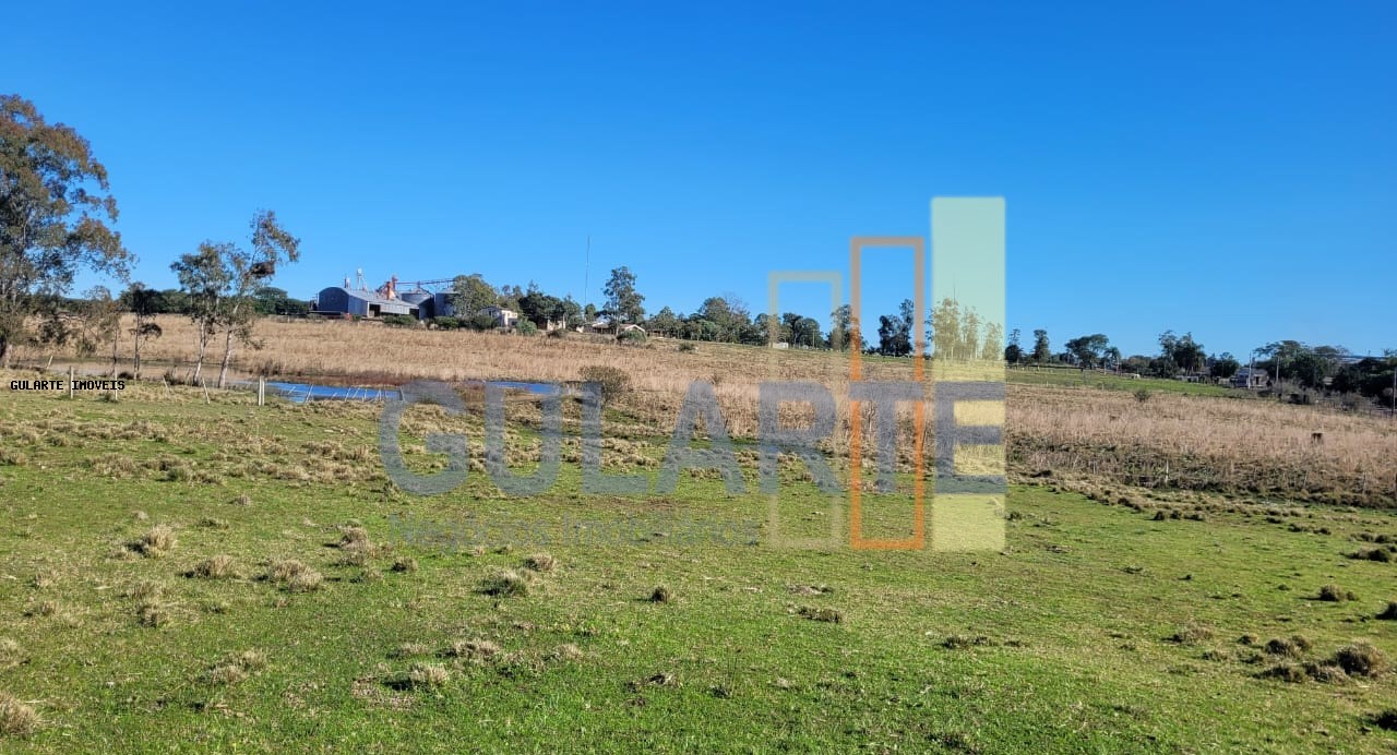 Fazenda, 24 hectares - Foto 32