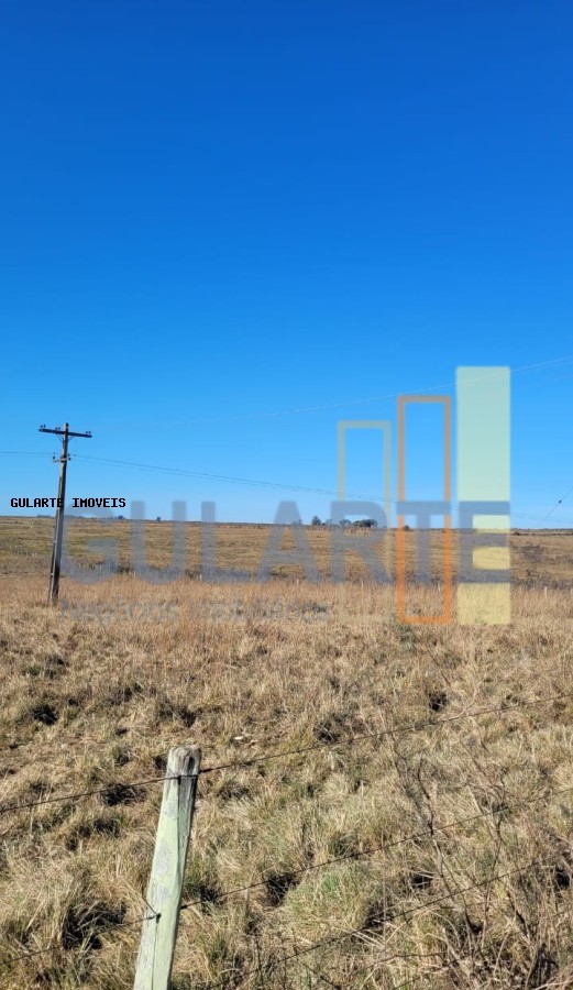 Fazenda, 24 hectares - Foto 34